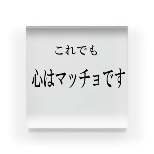 名言(笑）シリーズ　マッチョ アクリルブロック