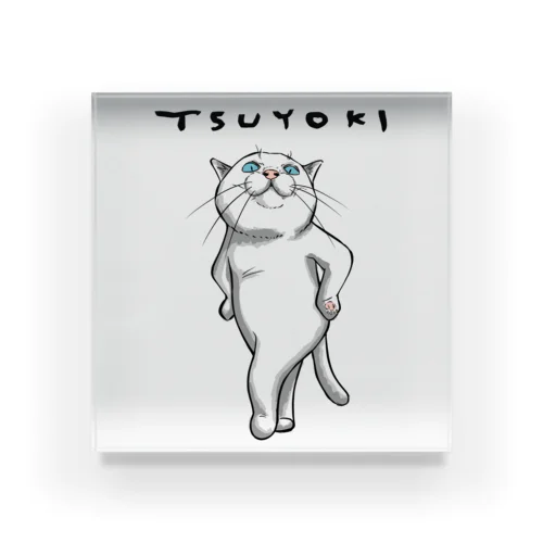 TSUYOKI Acrylic Block