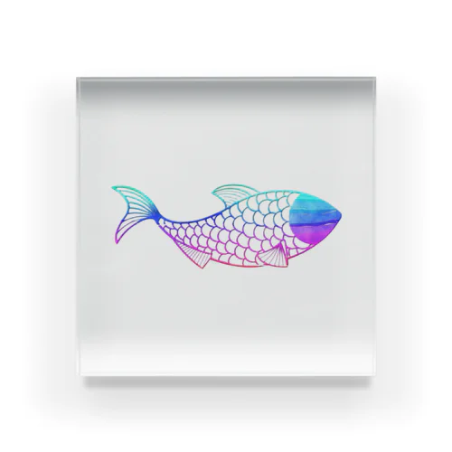 魚　rainbow Acrylic Block