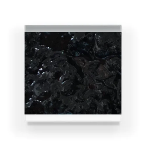 鮭シリーズ Acrylic Block