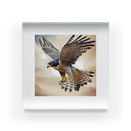 カラカラ (Peregrine Falcon) Acrylic Block