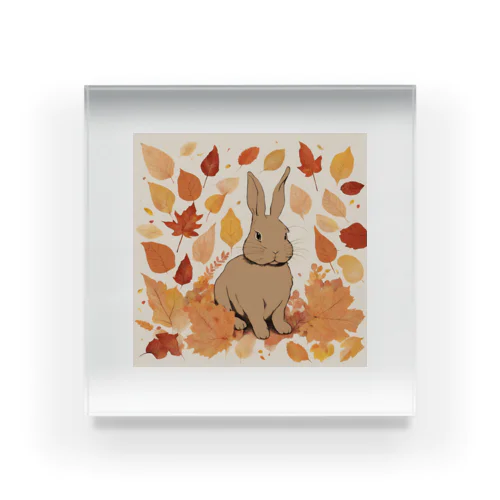 紅葉とうさぎ🐰 Acrylic Block