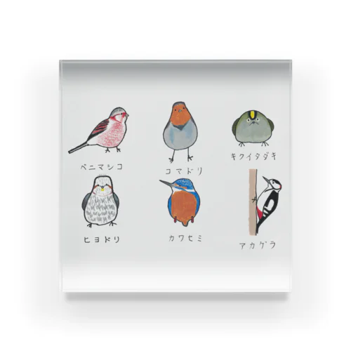 [森図鑑] 日本の野鳥づくし6羽B-2 Acrylic Block