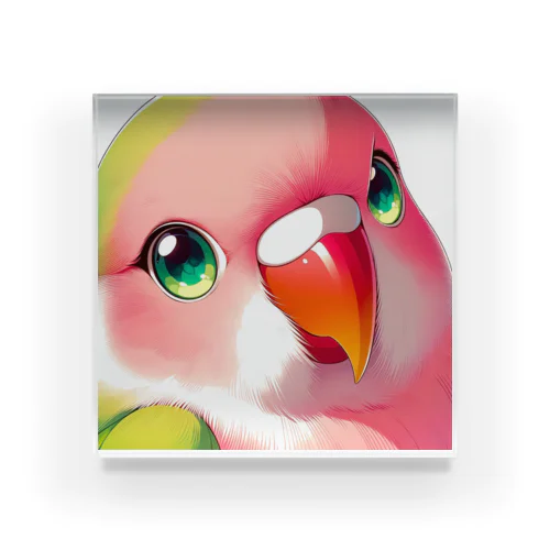 コザクラインコのルン　 Acrylic Block