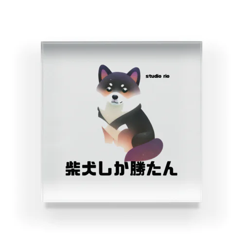 柴犬しか勝たん Acrylic Block