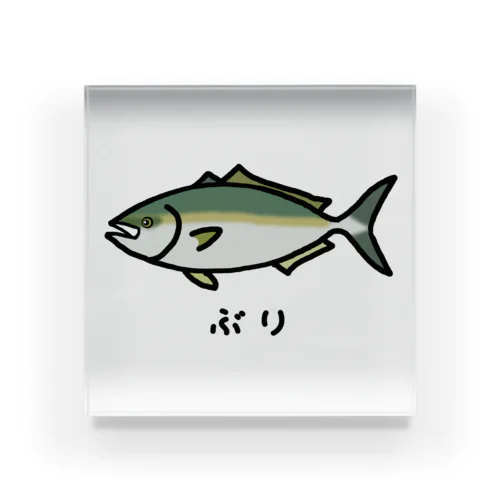【魚シリーズ】ぶり♪231029 アクリルブロック