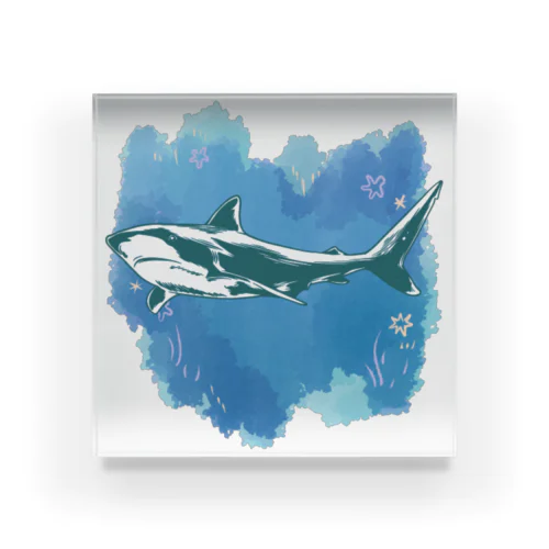 深海shark アクリルブロック