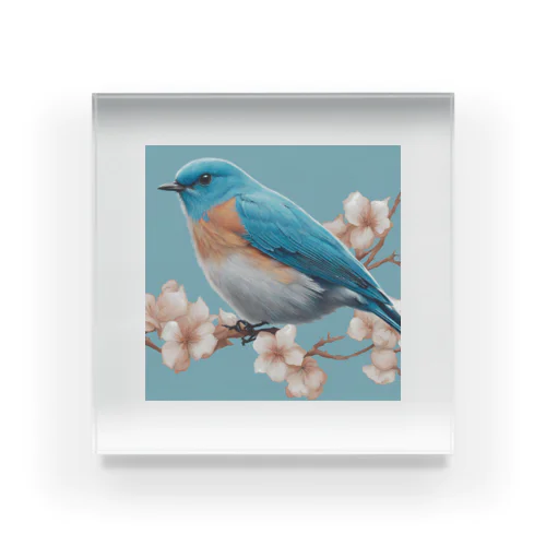 beautiful blue bird アクリルブロック