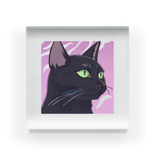 かっこいい黒猫3 Acrylic Block