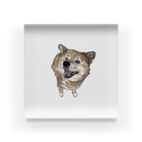 友達の犬 Acrylic Block