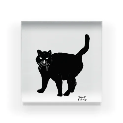 黒猫 / Black Cat  アクリルブロック