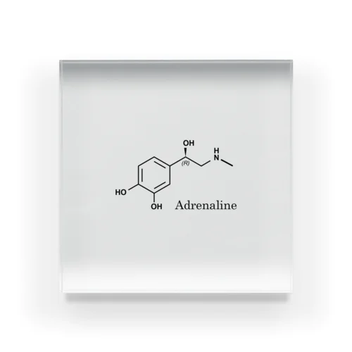 化学構造式　アドレナリン アクリルブロック