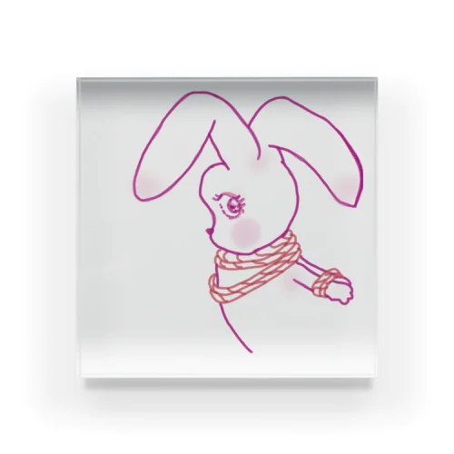 縄兎ちゃん/rope bunny （能登半島地震応援アイテム） アクリルブロック