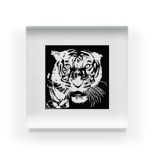 ブルース・リー先生 お気に入りの寅 🐯 Acrylic Block