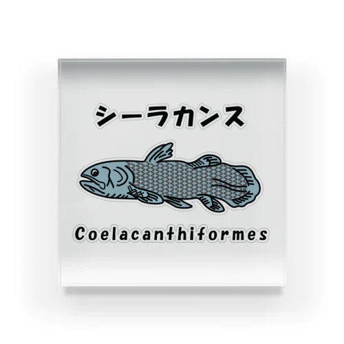 シーラカンス / Coelacanthiformes アクリルブロック