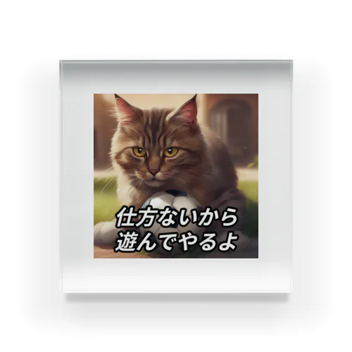 遊んでくれる猫 Acrylic Block