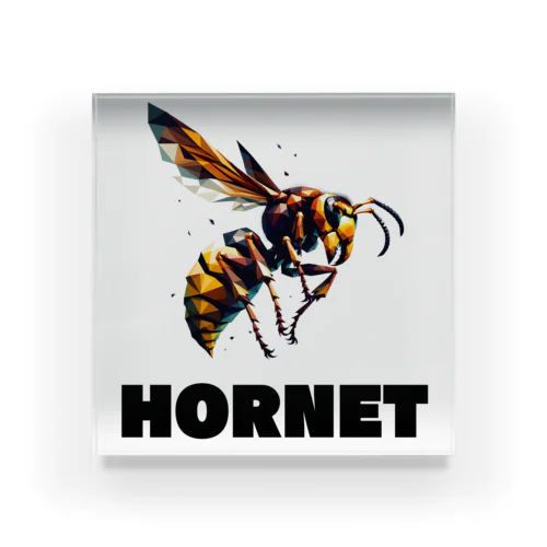 HORNET アクリルブロック