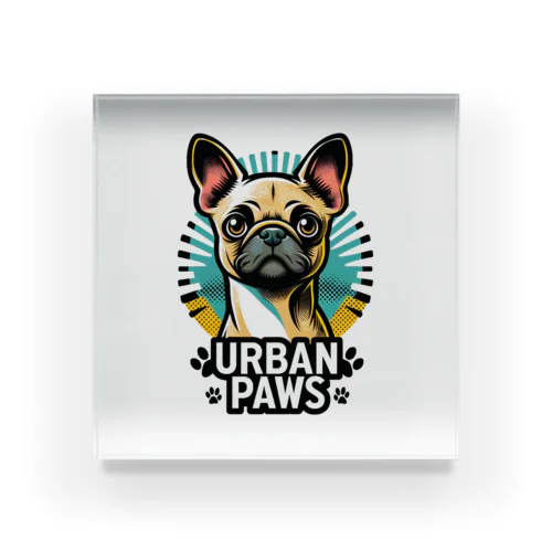 パグチワワ「Urban paws 」 アクリルブロック