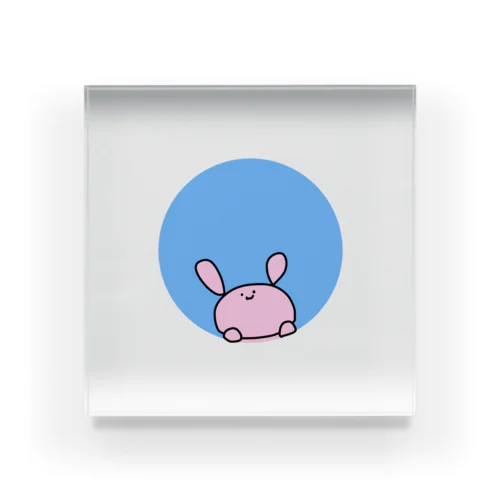 うさちゃん こんにちは Acrylic Block