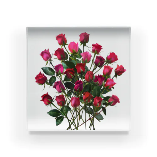 Redpink 26 Roses Acrylic Block