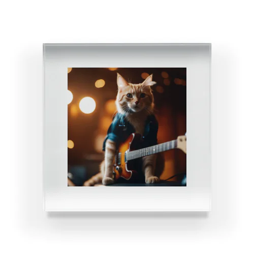 Kawaii Rock Cat Acrylic Block