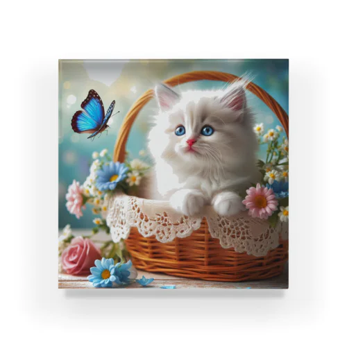 「青い蝶々を見つめる白猫」 Acrylic Block