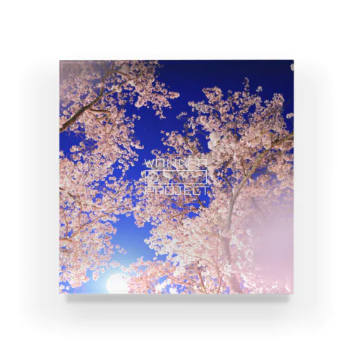 春~撫桜~【2024年2月〜4月限定発売】 Acrylic Block