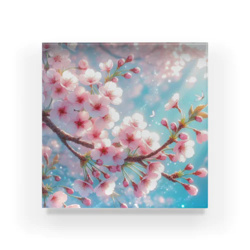 美しい桜🌸✨ Acrylic Block