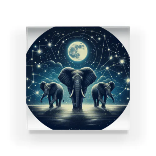 Night  Elephant Symphonic Acrylic Block