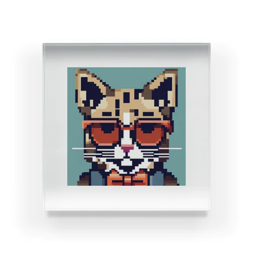 Sharp Cat Acrylic Block