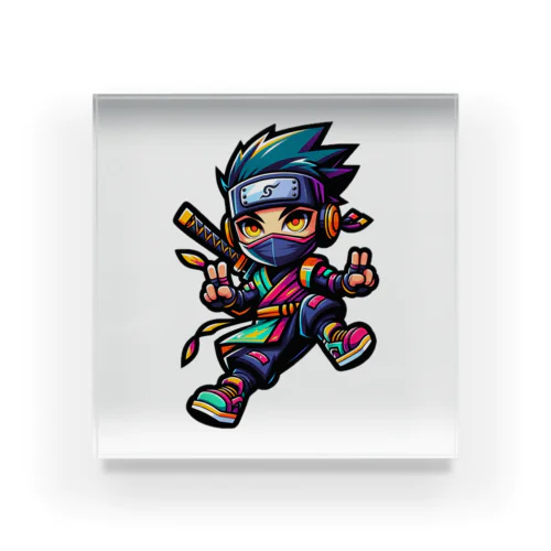 “Digital Ninja” Acrylic Block