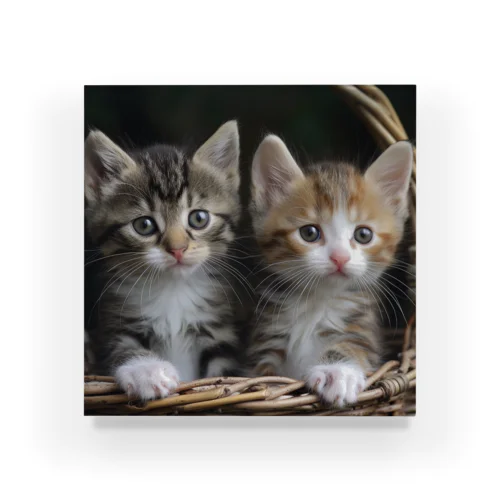 仲良し子猫 Acrylic Block