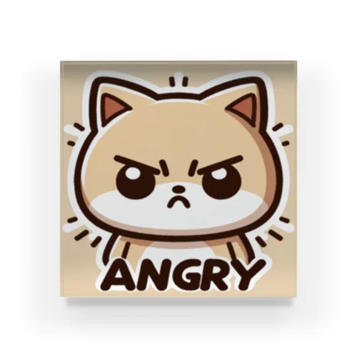 Angry cat. アクリルブロック