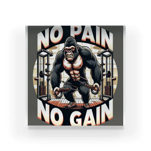 NO PAIN NO GAIN ゴリラ ケーブルクロス アクリルブロック