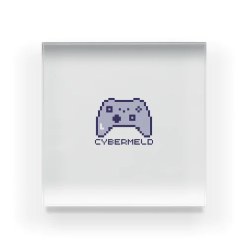 CyberMeld Acrylic Block