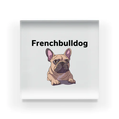 Frenchbulldog（フレンチブルドッグ） Acrylic Block