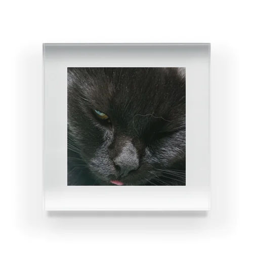 舌が出てる黒い猫 アクリルブロック