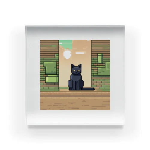 街中でたたずむ黒猫 Acrylic Block