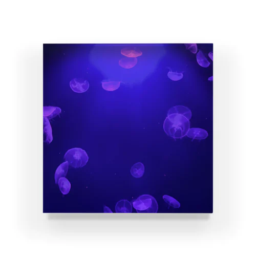 クラゲ Acrylic Block