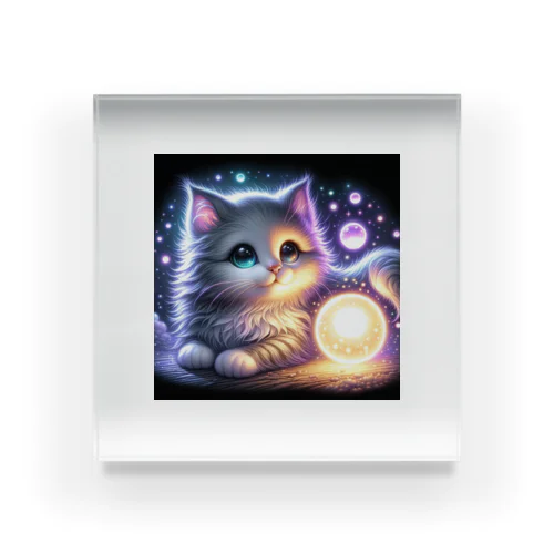 光導の探求者、好奇心旺盛な猫 アクリルブロック