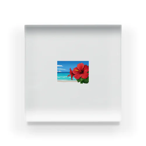 ハイビスカス　リゾート　🌺　🏝️ Acrylic Block