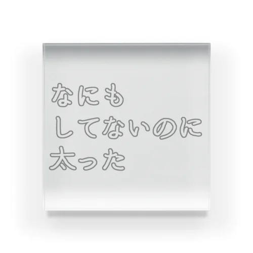 なにもしてないのに太った(まま) アクリルブロック