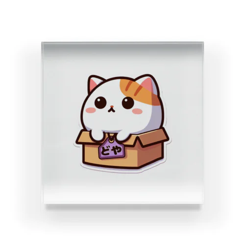 どや猫シリーズ Acrylic Block