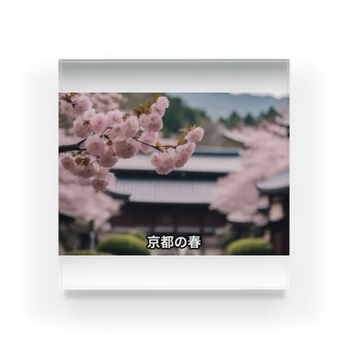 JAPAN SAKURA Acrylic Block