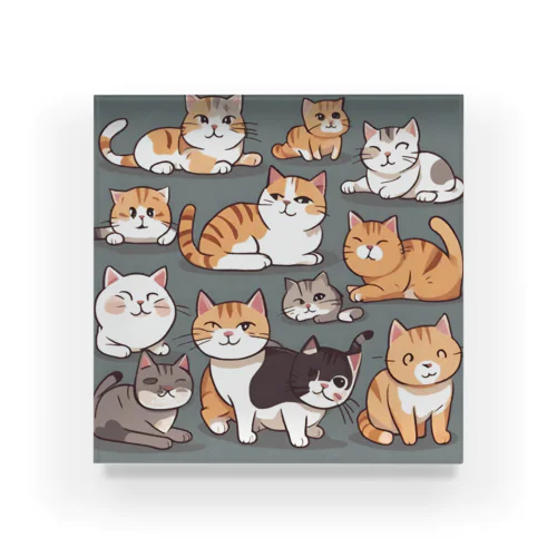 Cat&Cat Acrylic Block