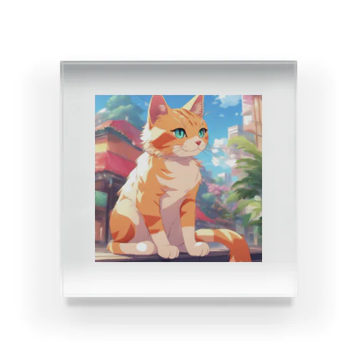窓辺に佇む、かわいらしい猫ちゃんの姿🐱✨ Acrylic Block