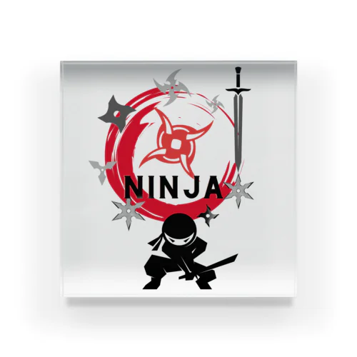 NINJA Acrylic Block