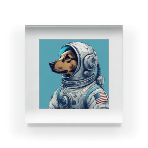 Space Dog Acrylic Block