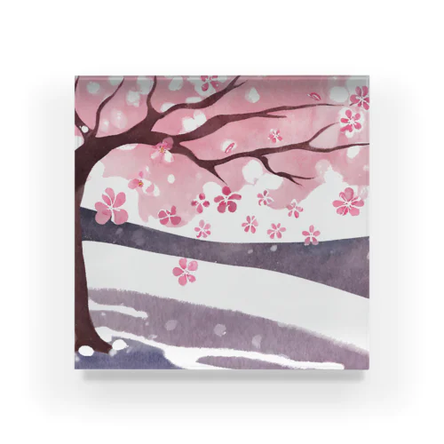 桜と雪　春一番 アクリルブロック