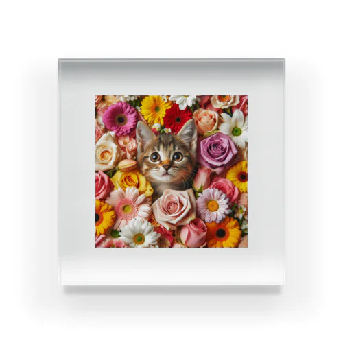 美しい花々と可愛らしい子猫 アクリルブロック